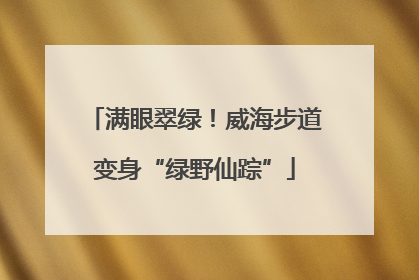 满眼翠绿！威海步道变身“绿野仙踪”