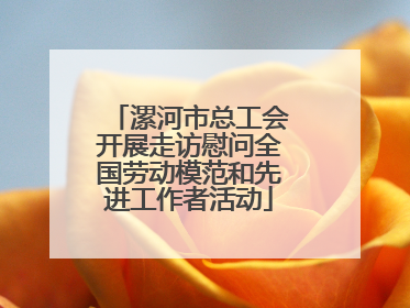 漯河市总工会开展走访慰问全国劳动模范和先进工作者活动