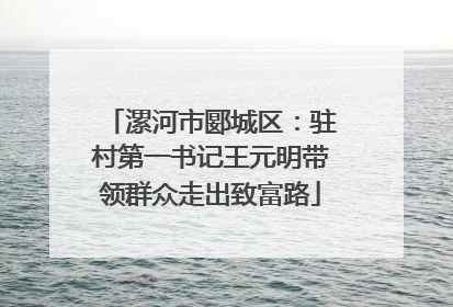 漯河市郾城区：驻村第一书记王元明带领群众走出致富路