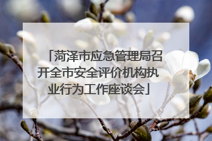 菏泽市应急管理局召开全市安全评价机构执业行为工作座谈会