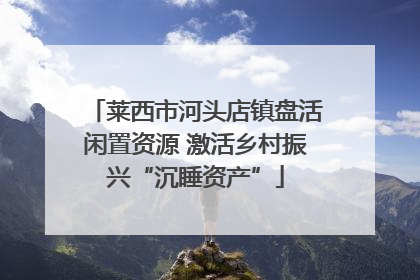 莱西市河头店镇盘活闲置资源 激活乡村振兴“沉睡资产”