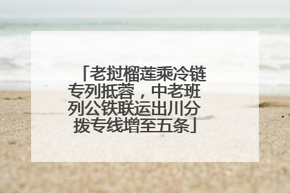 老挝榴莲乘冷链专列抵蓉，中老班列公铁联运出川分拨专线增至五条