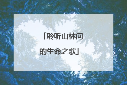 聆听山林间的生命之歌