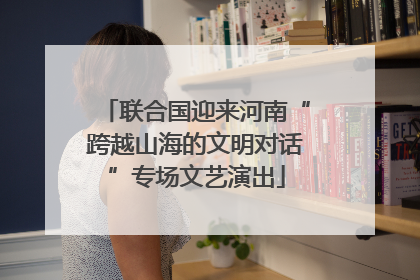 联合国迎来河南“跨越山海的文明对话”专场文艺演出