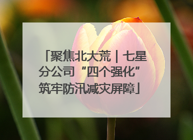 聚焦北大荒｜七星分公司“四个强化”筑牢防汛减灾屏障