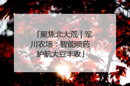 聚焦北大荒｜军川农场：智能喷药护航大豆丰收