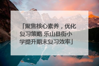 聚焦核心素养，优化复习策略 乐山县街小学提升期末复习效率