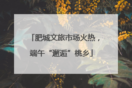 肥城文旅市场火热，端午“邂逅”桃乡