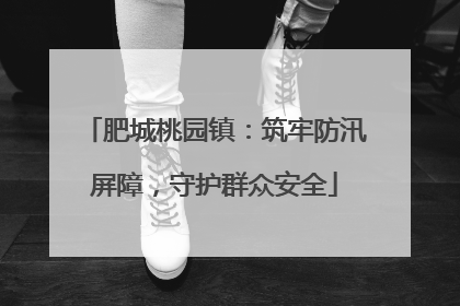 肥城桃园镇：筑牢防汛屏障，守护群众安全