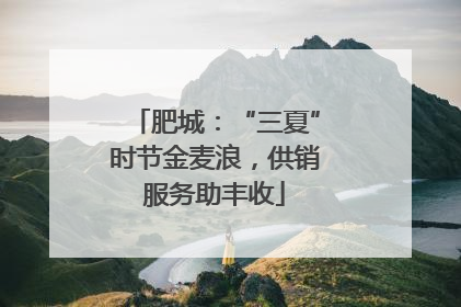 肥城：“三夏”时节金麦浪，供销服务助丰收