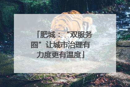 肥城：“双服务圈”让城市治理有力度更有温度