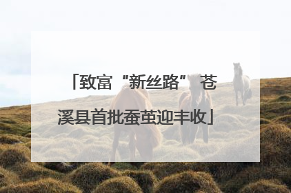 致富“新丝路” 苍溪县首批蚕茧迎丰收