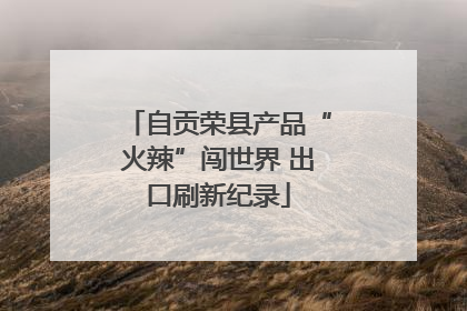 自贡荣县产品“火辣”闯世界 出口刷新纪录