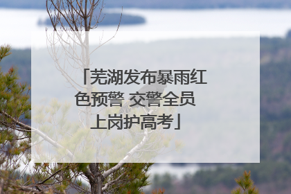 芜湖发布暴雨红色预警 交警全员上岗护高考