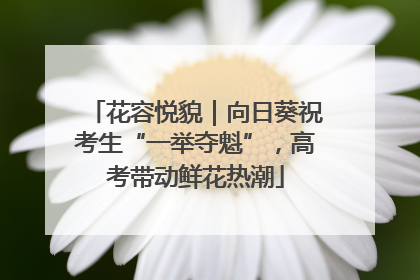 花容悦貌｜向日葵祝考生“一举夺魁”，高考带动鲜花热潮