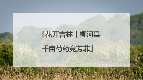 花开吉林｜柳河县千亩芍药竞芳菲