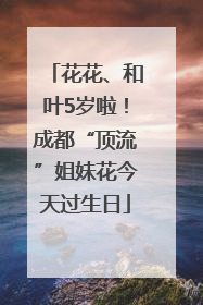 花花、和叶5岁啦！成都“顶流”姐妹花今天过生日