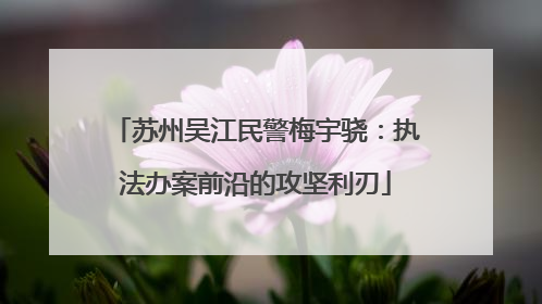 苏州吴江民警梅宇骁：执法办案前沿的攻坚利刃