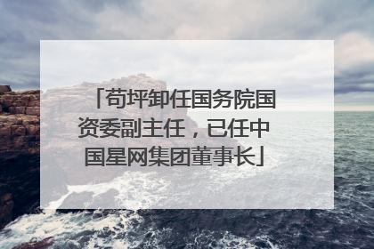 苟坪卸任国务院国资委副主任，已任中国星网集团董事长