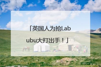 英国人为抢Labubu大打出手！