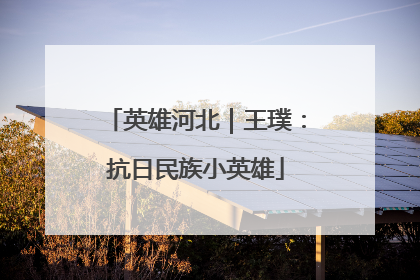 英雄河北｜王璞：抗日民族小英雄