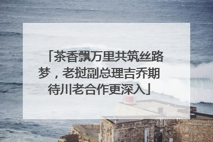 茶香飘万里共筑丝路梦，老挝副总理吉乔期待川老合作更深入