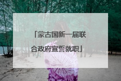 蒙古国新一届联合政府宣誓就职