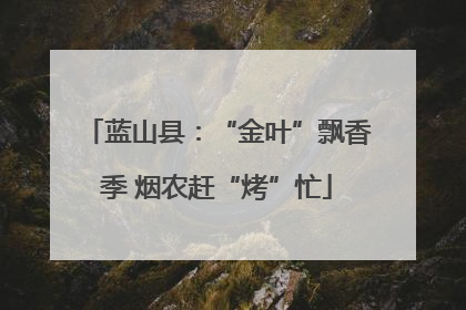 蓝山县：“金叶”飘香季 烟农赶“烤”忙