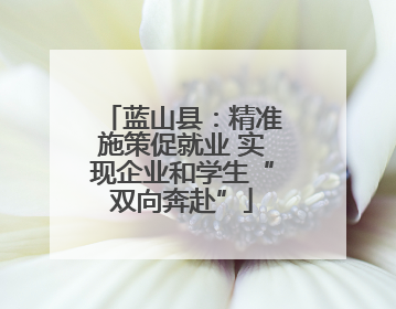 蓝山县：精准施策促就业 实现企业和学生“双向奔赴”
