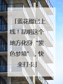 蓝花楹已上线！昆明这个地方化身“紫色梦境”，快来打卡