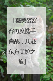 薇美姿舒客再度携手肖战，共赴东方美护之旅