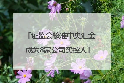 证监会核准中央汇金成为8家公司实控人