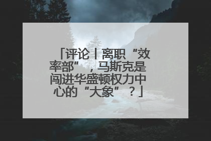 评论丨离职“效率部”，马斯克是闯进华盛顿权力中心的“大象”？