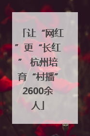 让“网红”更“长红” 杭州培育“村播”2600余人