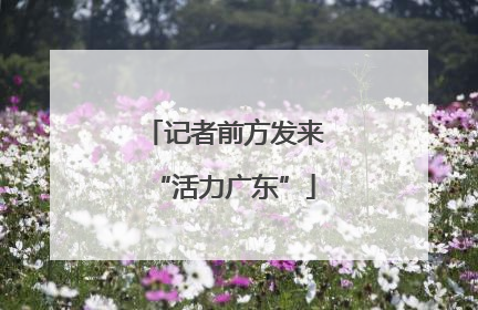 记者前方发来“活力广东”