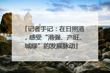 记者手记：在日照港，感受“港强、产旺、城绿”的发展脉动
