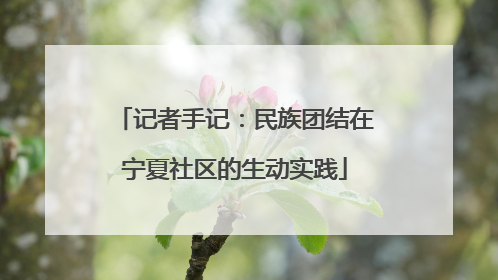 记者手记：民族团结在宁夏社区的生动实践