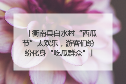 衡南县白水村“西瓜节”太欢乐，游客们纷纷化身“吃瓜群众”