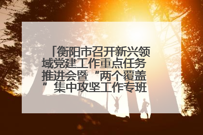 衡阳市召开新兴领域党建工作重点任务推进会暨“两个覆盖”集中攻坚工作专班 第一次会议