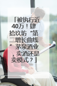 被执行近40万！肆拾玖坊“第二增长曲线”茅泉酒业，卖酒还是卖模式？