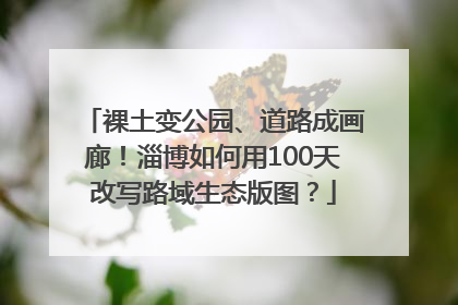 裸土变公园、道路成画廊！淄博如何用100天改写路域生态版图？