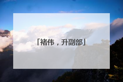 褚伟，升副部