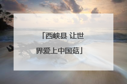 西峡县 让世界爱上中国菇
