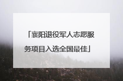 襄阳退役军人志愿服务项目入选全国最佳
