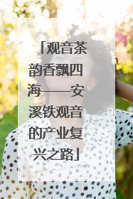 观音茶韵香飘四海——安溪铁观音的产业复兴之路