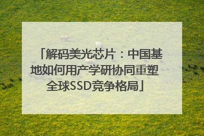 解码美光芯片：中国基地如何用产学研协同重塑全球SSD竞争格局