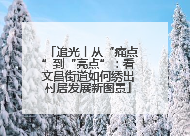 追光丨从“痛点”到“亮点”：看文昌街道如何绣出村居发展新图景