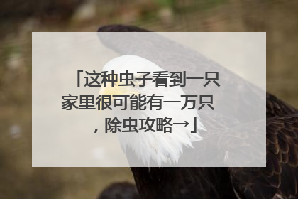 这种虫子看到一只家里很可能有一万只，除虫攻略→