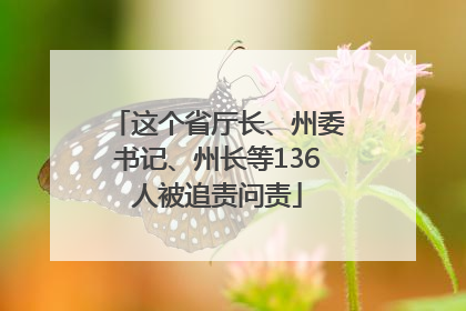 这个省厅长、州委书记、州长等136人被追责问责