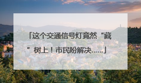 这个交通信号灯竟然“藏”树上！市民盼解决……